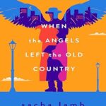 cover of when the angels left the old country